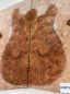 Preview: Top Maserahorn - Maple Burl Westcoast, 2-tlg. 7mm Einzelstück #007